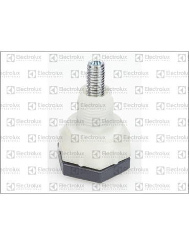 Pied