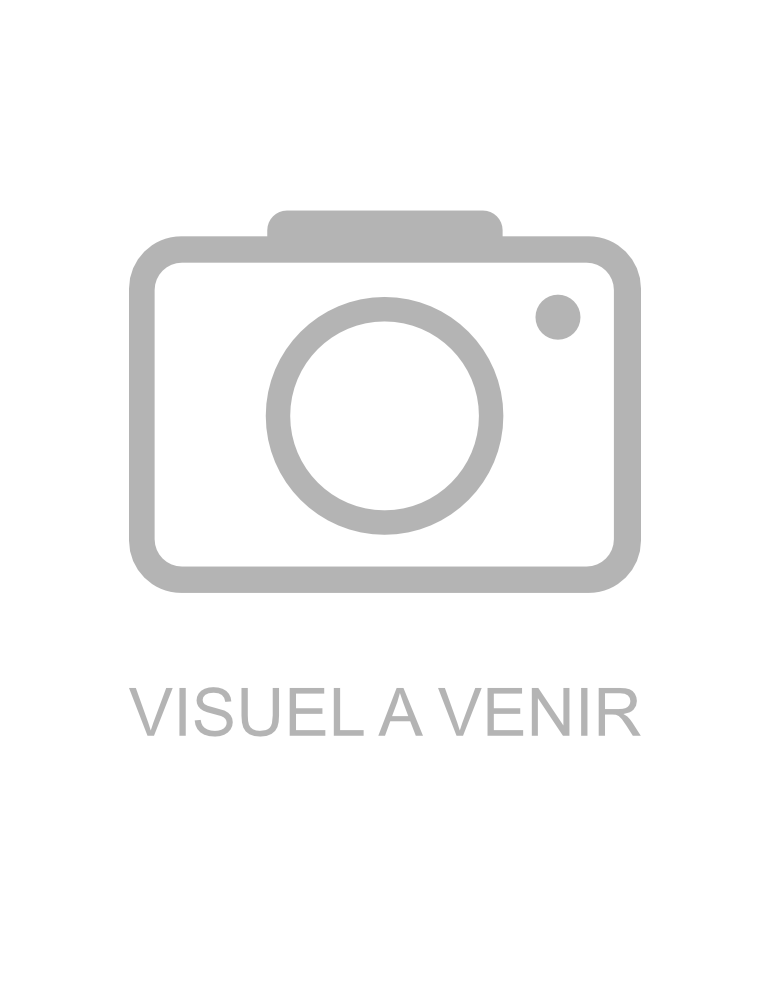 Film de protection TouchNPay LM Control