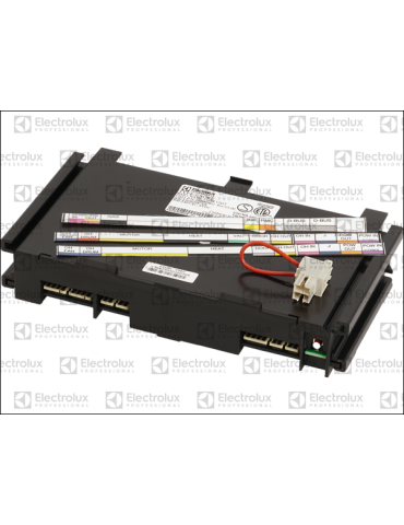 Carte E/S 82 Electrolux Professional