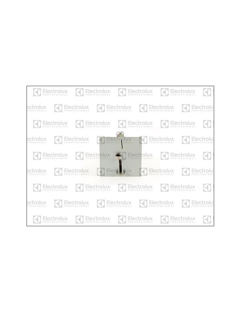 Amortisseur De Lave-linge Electrolux / Zanussi / AEG - Pièce D'origine 1322553510, Remplacement Facile