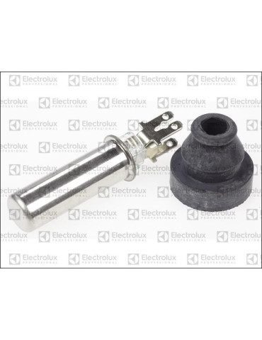 Sonde de température Electrolux Professional