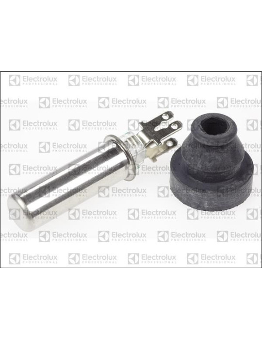 Sonde de température Electrolux Professional
