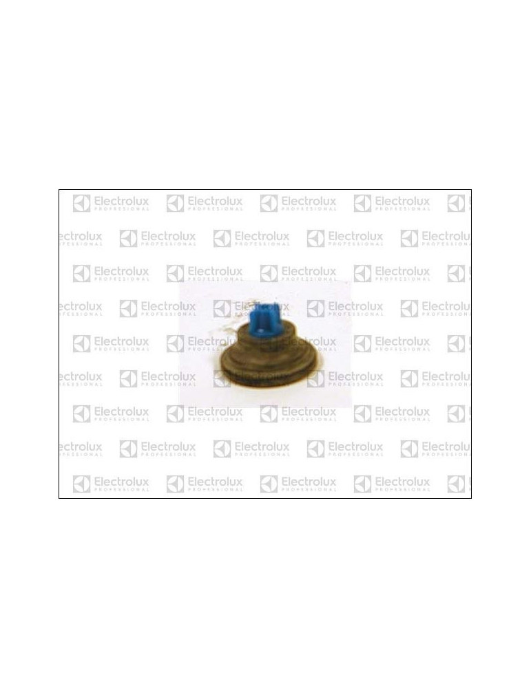 Diaphragme