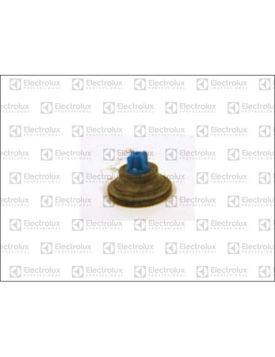 Diaphragme