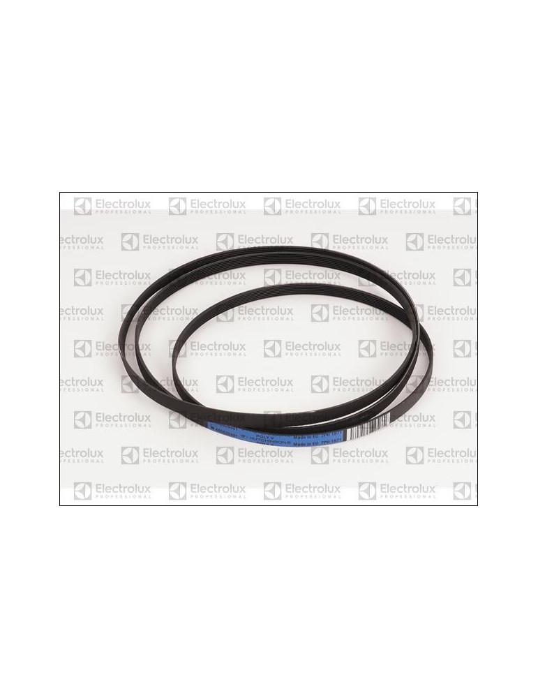 Courroie Transmission