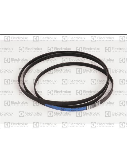 Courroie Transmission