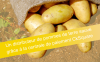 Un distributeur de pommes de terre sauvé grâce à la centrale de paiement CKsquare