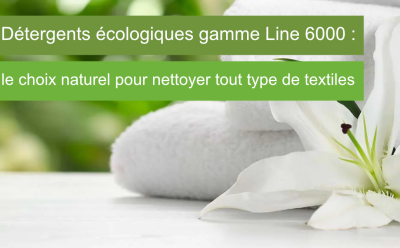 Détergents écologiques Line 6000 – Electrolux Professional